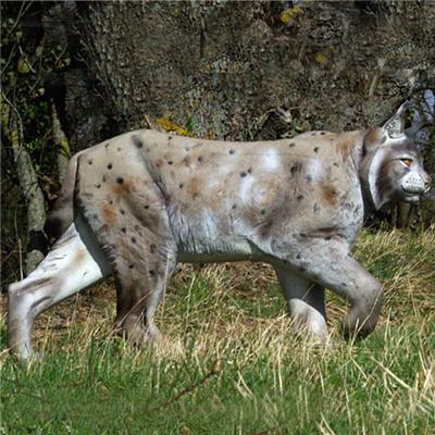 Lynx debout