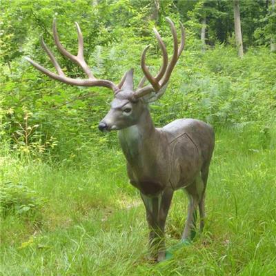 Mule deer