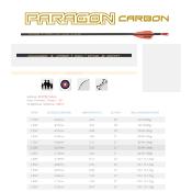 SKYLON : tube Paragon
