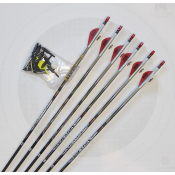DESTOCKAGE 6 FLECHES AC INJEXION 390