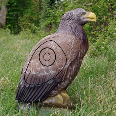 Aigle