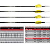 CARBON EXPRESS lot de 12 tubes NANO SST