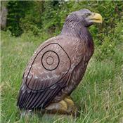 Aigle