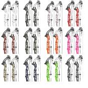 .HOYT CONCEPT XTS 37